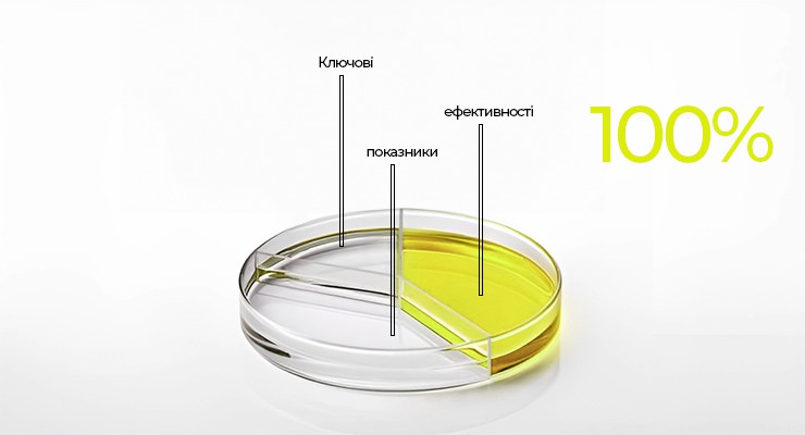 Ключові показники ефективності